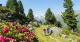 Im Hotel Alpina in St Johann wandern zwei Personen auf dem schönen Wanderweg. 
