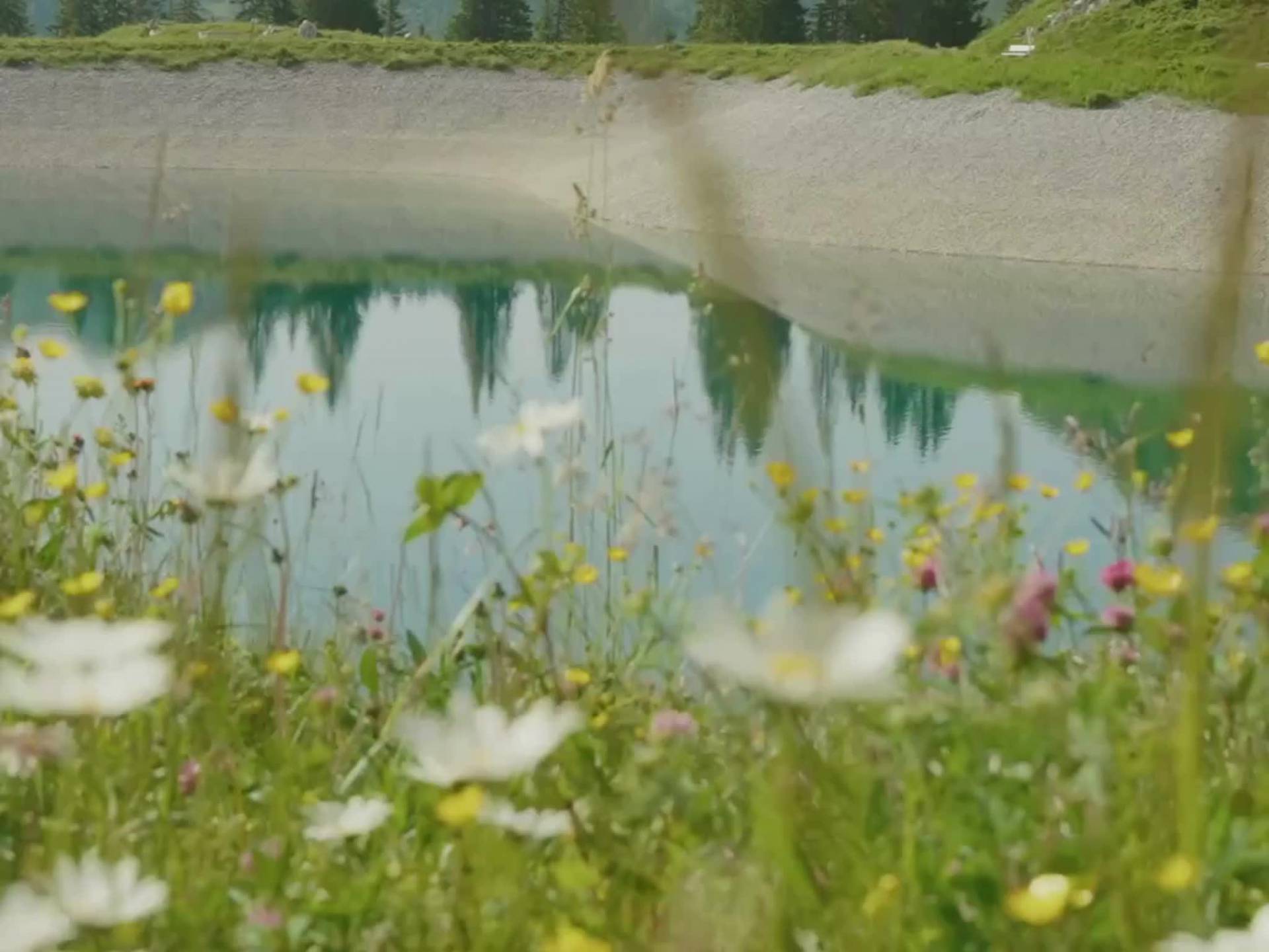 SommerGlück im Alpina Alpendorf mit der SummerCard exklusiv für Alpina Gäste.