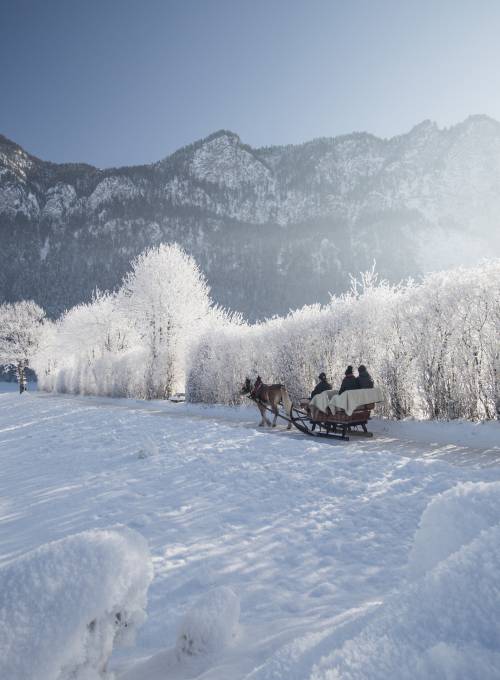 Bei unserem Sporthotel im Salzburger Land können Sie ganz einfach eine Pferdekutschenfahrt buchen. 