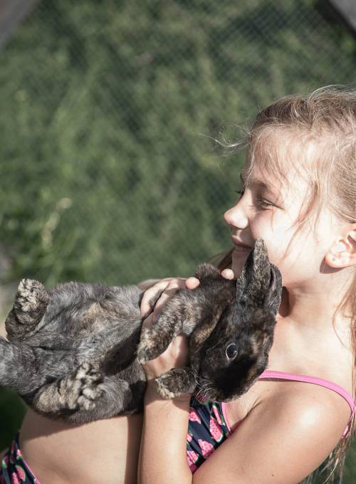 In unserem Hotel mit Kinderbetreuung in Österreich streichelt ein Kind unsere Hasen. 