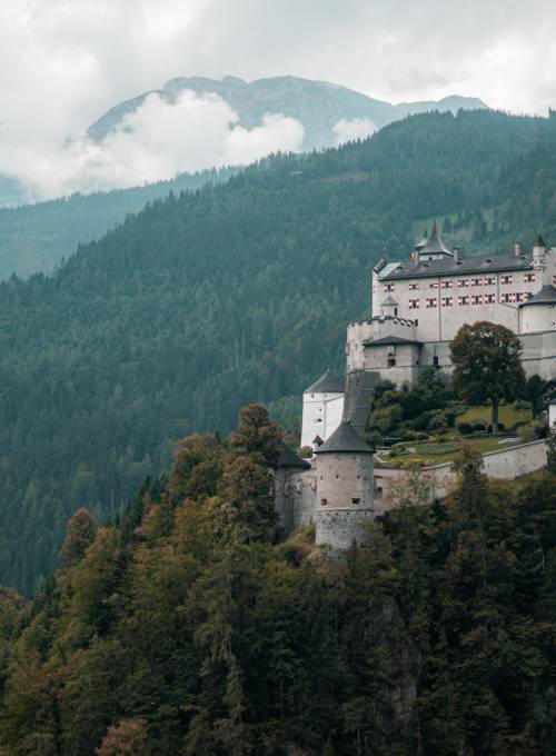 Als Freizeitanagebot in Salzburg ist die Erlebniswelt Hohenwerfen mit seinen majestätischen Tieren ein Highlight. 