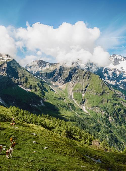 Der Grossglockner ist der höchste Berg in Österreich und ein beliebtes Ausflugsziel für unsere Gäste im Alpina Family, Spa & Sporthotel. 